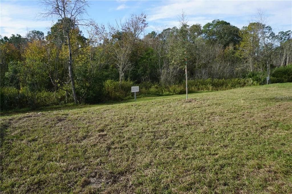 For Rent: $2,150 (4 beds, 2 baths, 1838 Square Feet)