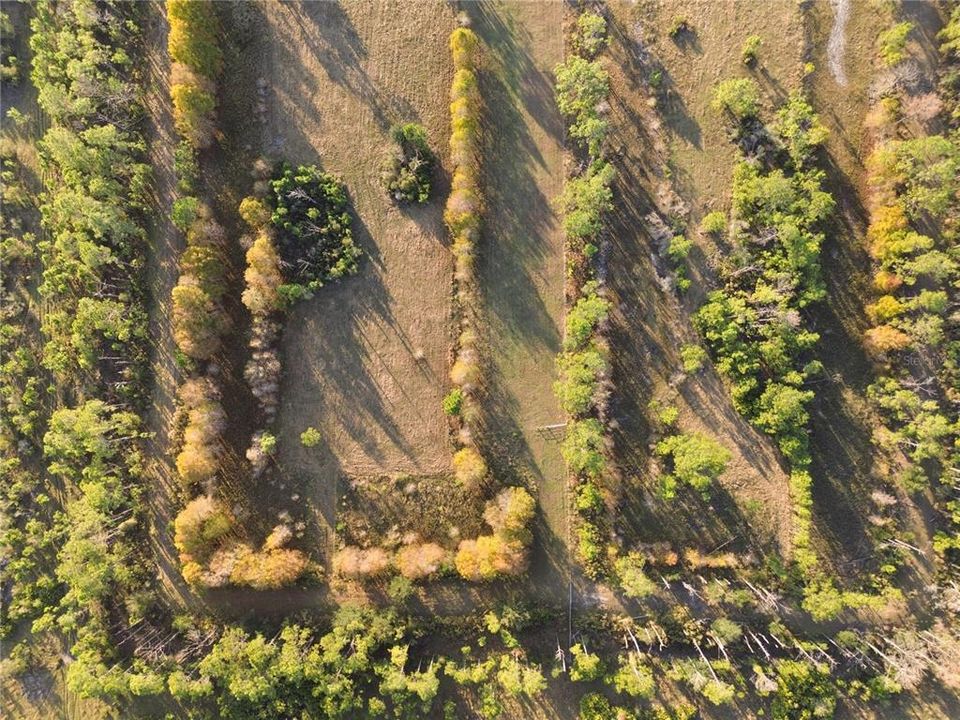 For Sale: $725,000 (4 beds, 3 baths, 1794 Square Feet)