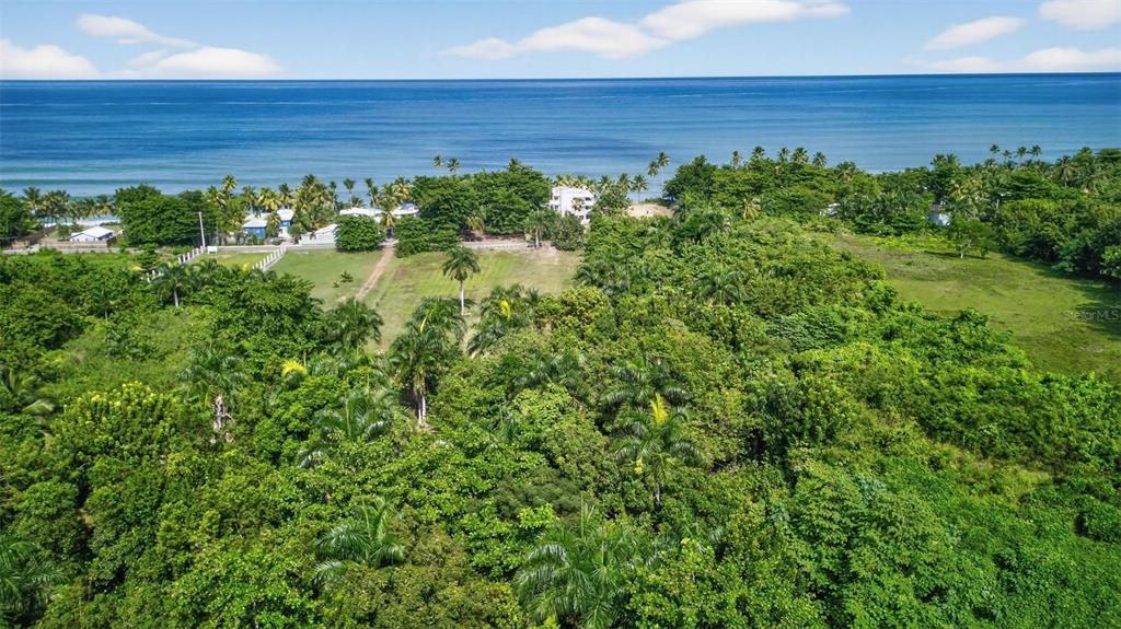 For Rent: $1,500 (1 beds, 1 baths, 700 Square Feet)