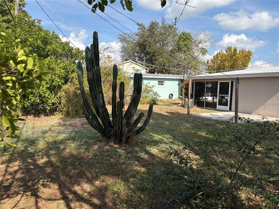 For Sale: $174,700 (3 beds, 2 baths, 1143 Square Feet)