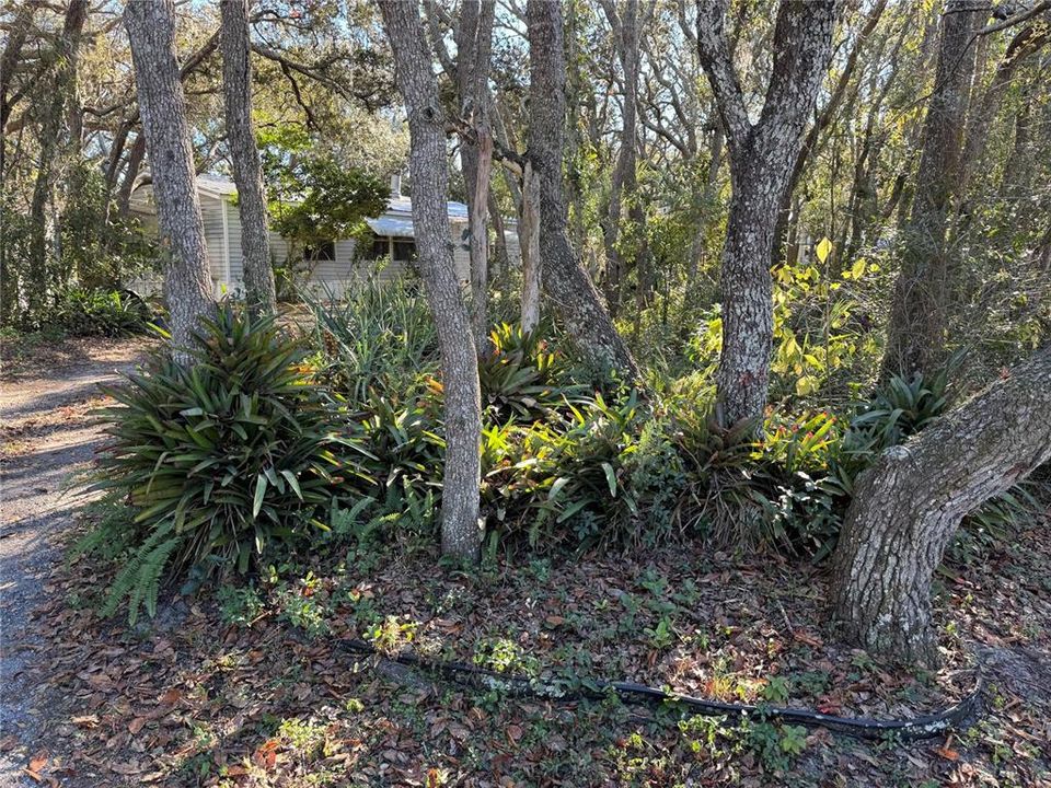 For Sale: $199,500 (3 beds, 2 baths, 1056 Square Feet)