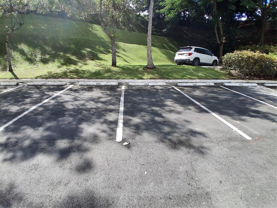 For Rent: $3,250 (3 beds, 2 baths, 1200 Square Feet)