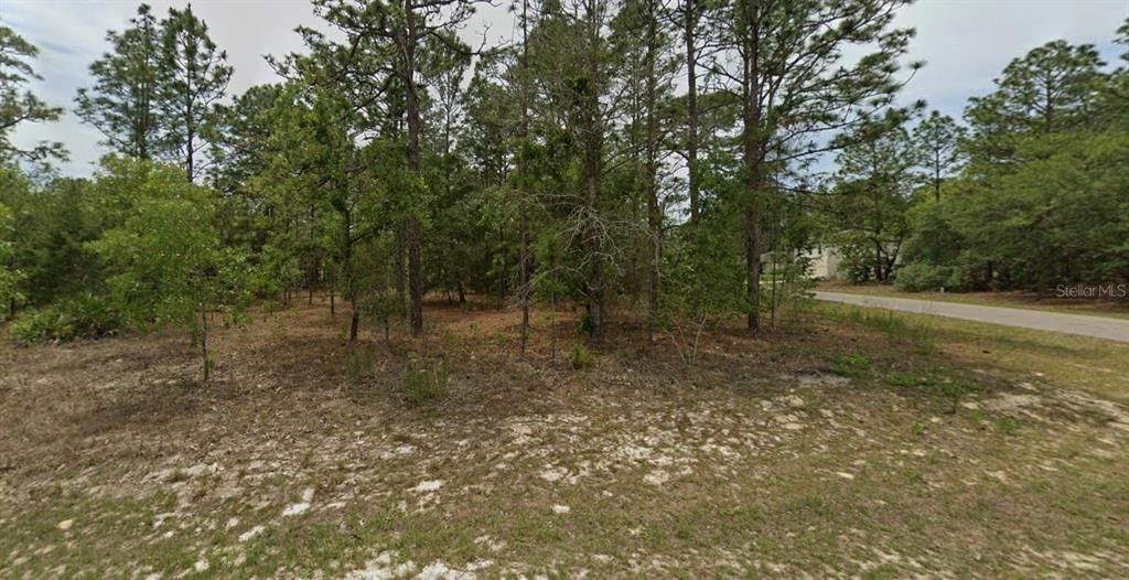 For Sale: $28,000 (0.29 acres)