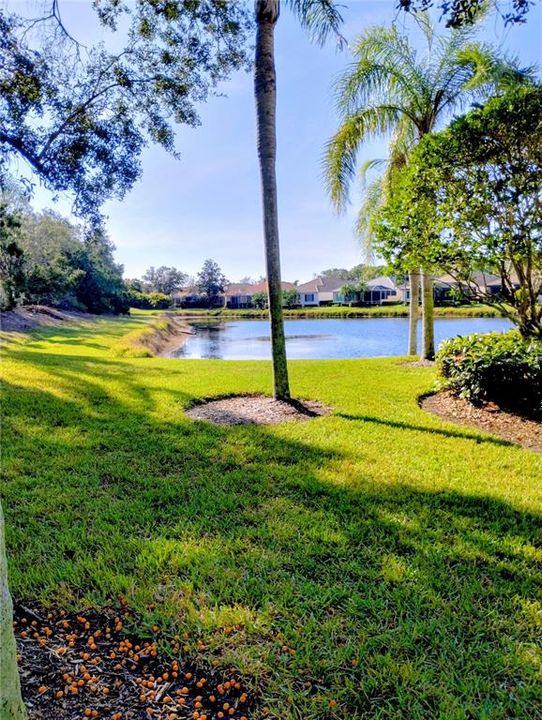 待售: $599,000 (3 贝兹, 2 浴室, 2288 平方英尺)