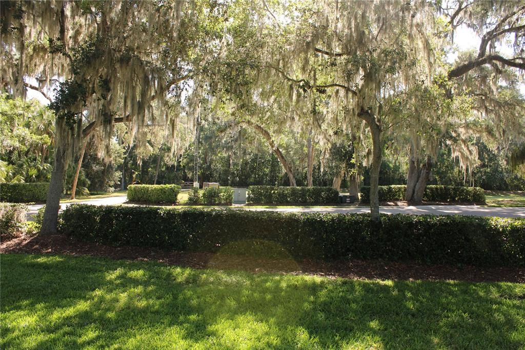 En Renta: $2,795 (3 camas, 2 baños, 2293 Pies cuadrados)