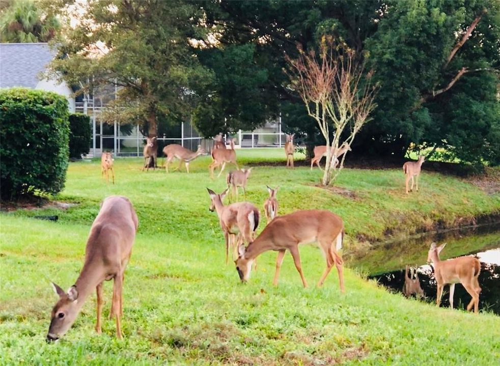 待售: $550,000 (4 贝兹, 2 浴室, 2208 平方英尺)