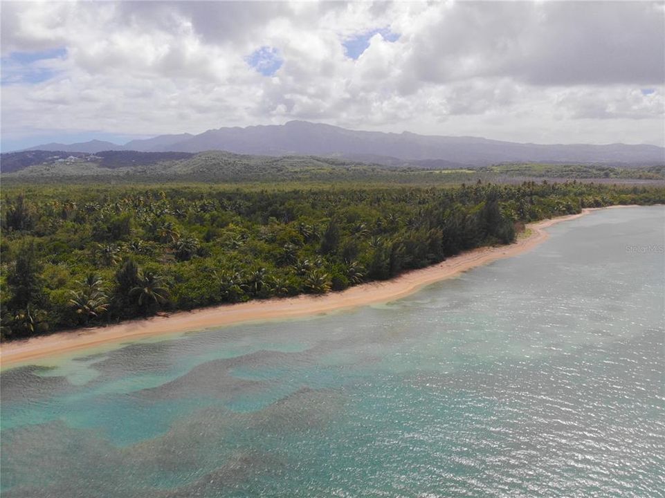 For Sale: $4,989,000 (129.00 acres)