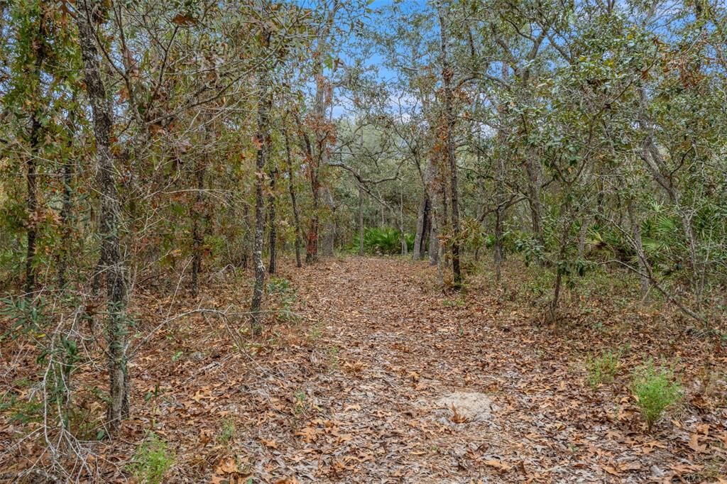 For Sale: $299,900 (3 beds, 2 baths, 1352 Square Feet)