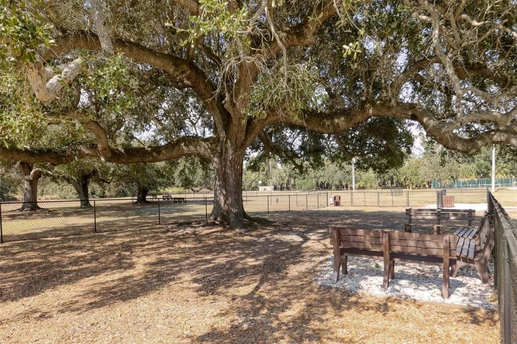 На продажу: $295,000 (2 спален, 2 ванн, 1141 Квадратных фут)