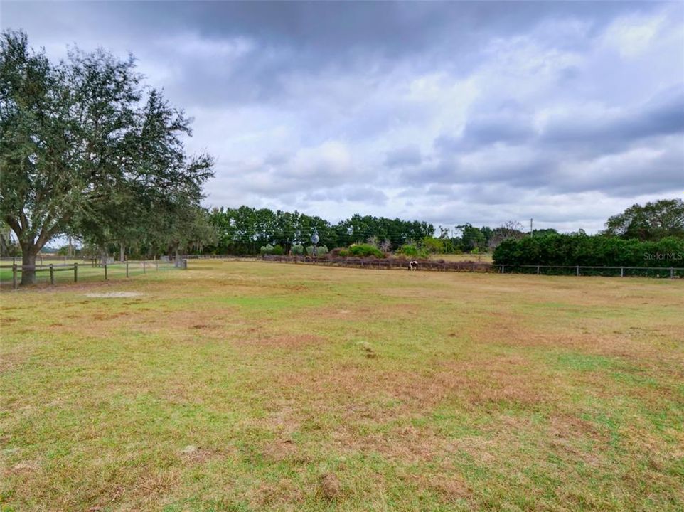 For Sale: $625,000 (3 beds, 2 baths, 2329 Square Feet)