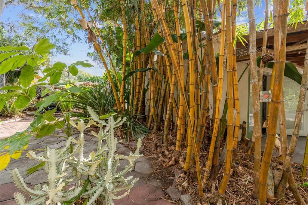 En Venta: $949,300 (5 camas, 3 baños, 3126 Pies cuadrados)