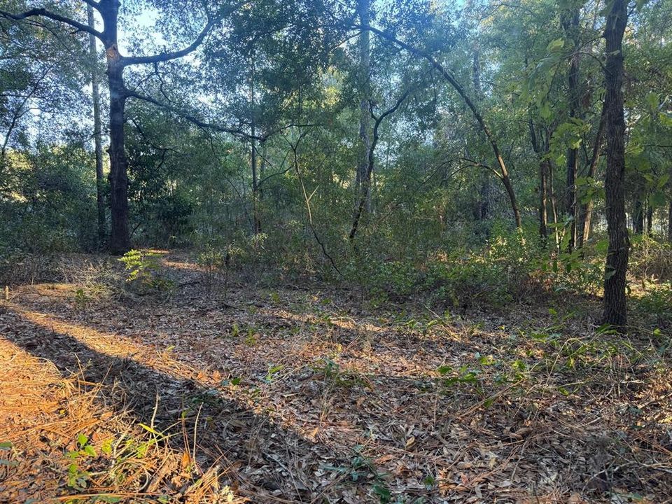 待售: $79,990 (1.03 acres)