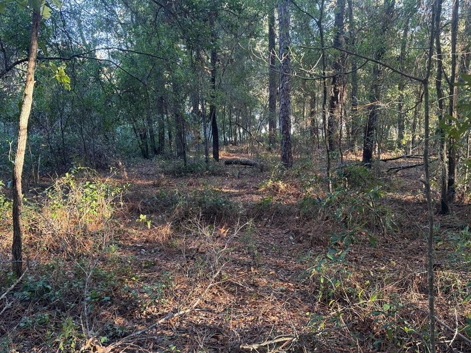 待售: $79,990 (1.03 acres)