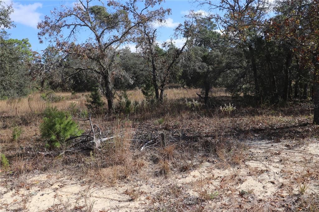 待售: $169,000 (5.26 acres)