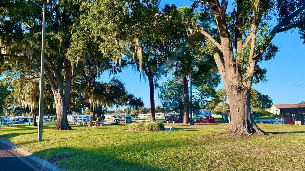 En Venta: $75,000 (0.15 acres)