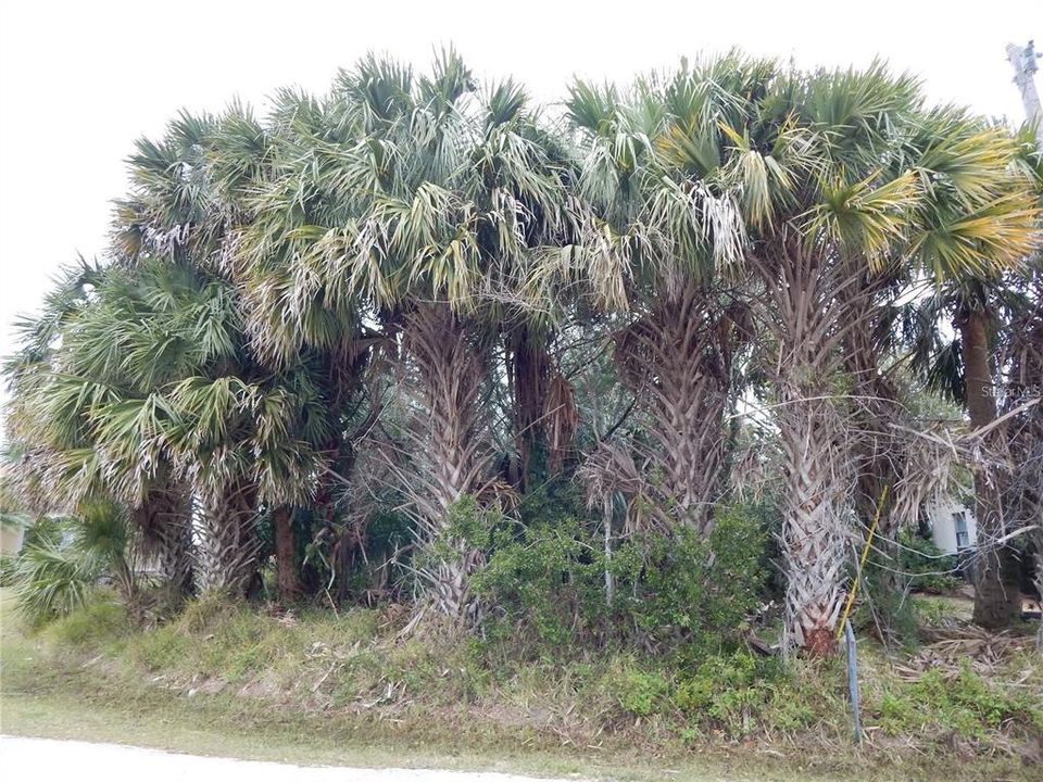 待售: $274,900 (0.24 acres)