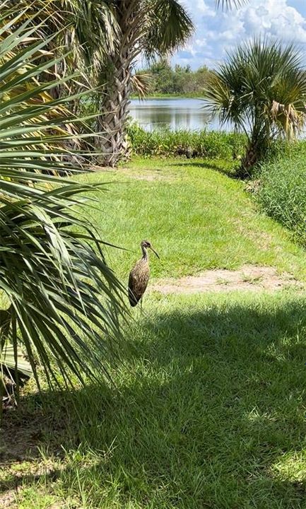 For Sale: $415,000 (3 beds, 1 baths, 2079 Square Feet)