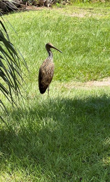 For Sale: $415,000 (3 beds, 1 baths, 2079 Square Feet)