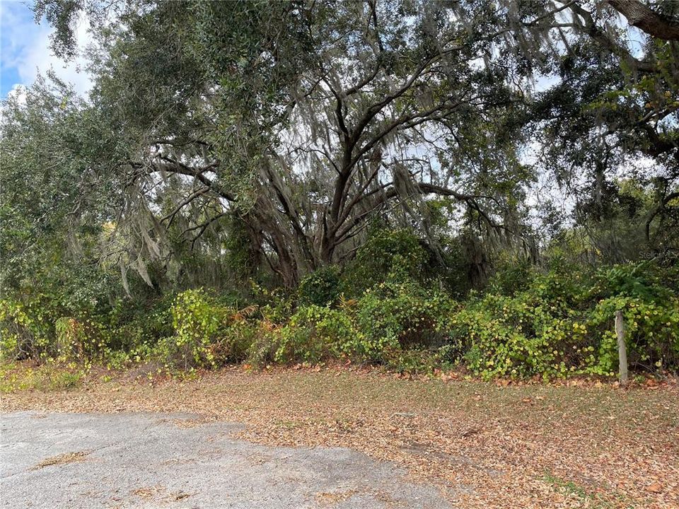 待售: $245,000 (4.20 acres)