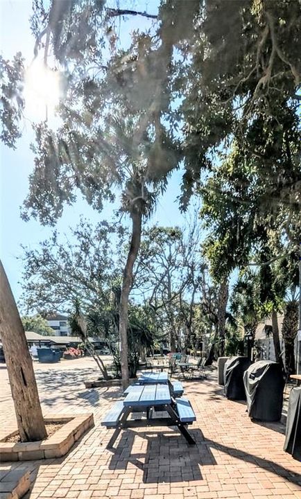 出租: $2,000 (2 贝兹, 1 浴室, 900 平方英尺)