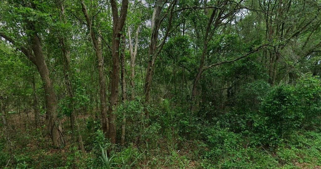 En Venta: $76,000 (2.51 acres)