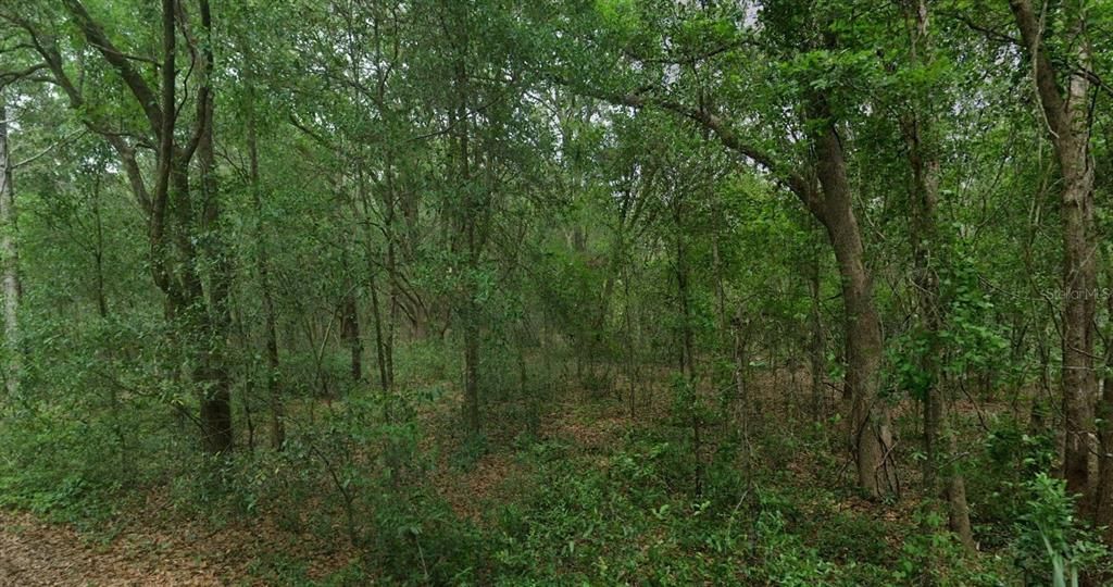 En Venta: $76,000 (2.51 acres)