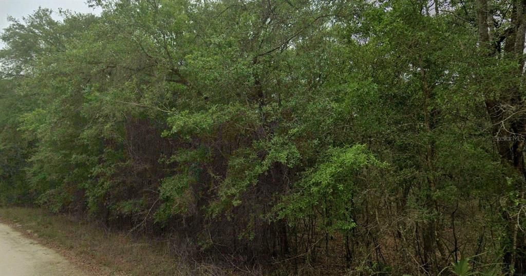 En Venta: $76,000 (2.51 acres)