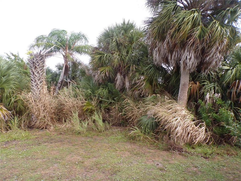 For Rent: $975 (2 beds, 1 baths, 672 Square Feet)