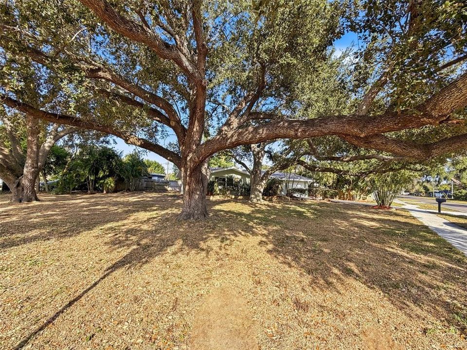 На продажу: $399,900 (2 спален, 2 ванн, 1300 Квадратных фут)