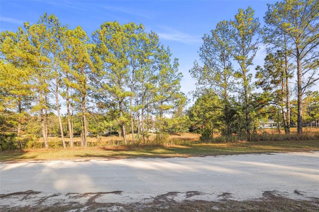 待售: $459,000 (4 贝兹, 2 浴室, 1917 平方英尺)