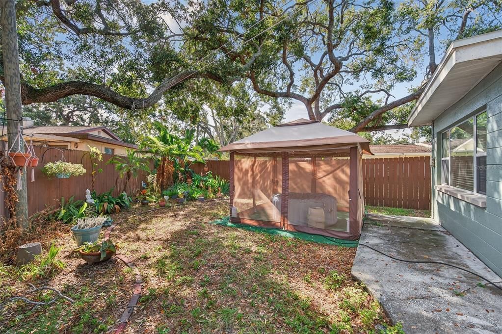 На продажу: $397,000 (3 спален, 1 ванн, 1290 Квадратных фут)