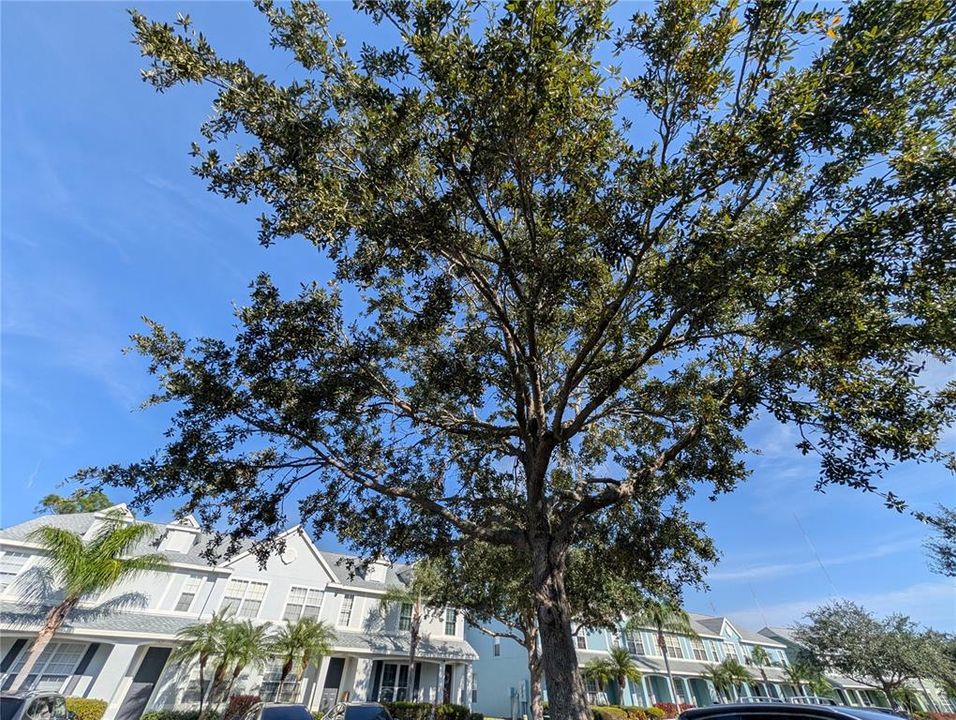 В аренду: $2,100 (2 спален, 2 ванн, 1216 Квадратных фут)