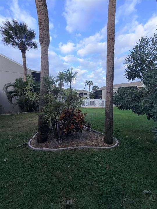 En Renta: $2,800 (3 camas, 2 baños, 1224 Pies cuadrados)