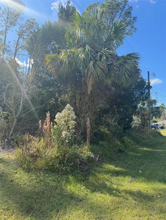 For Sale: $80,000 (0.23 acres)