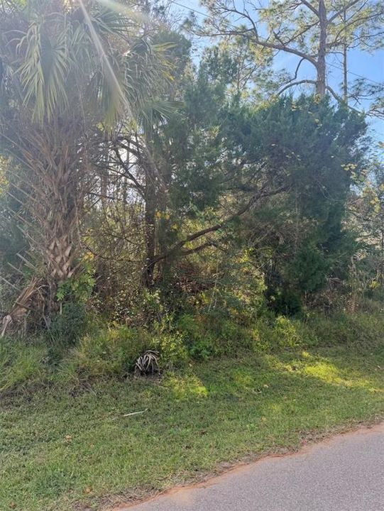 For Sale: $80,000 (0.23 acres)