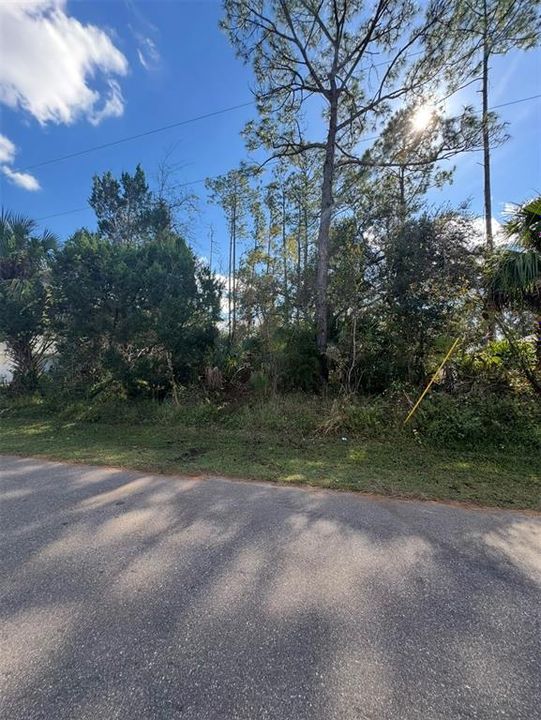 For Sale: $80,000 (0.23 acres)