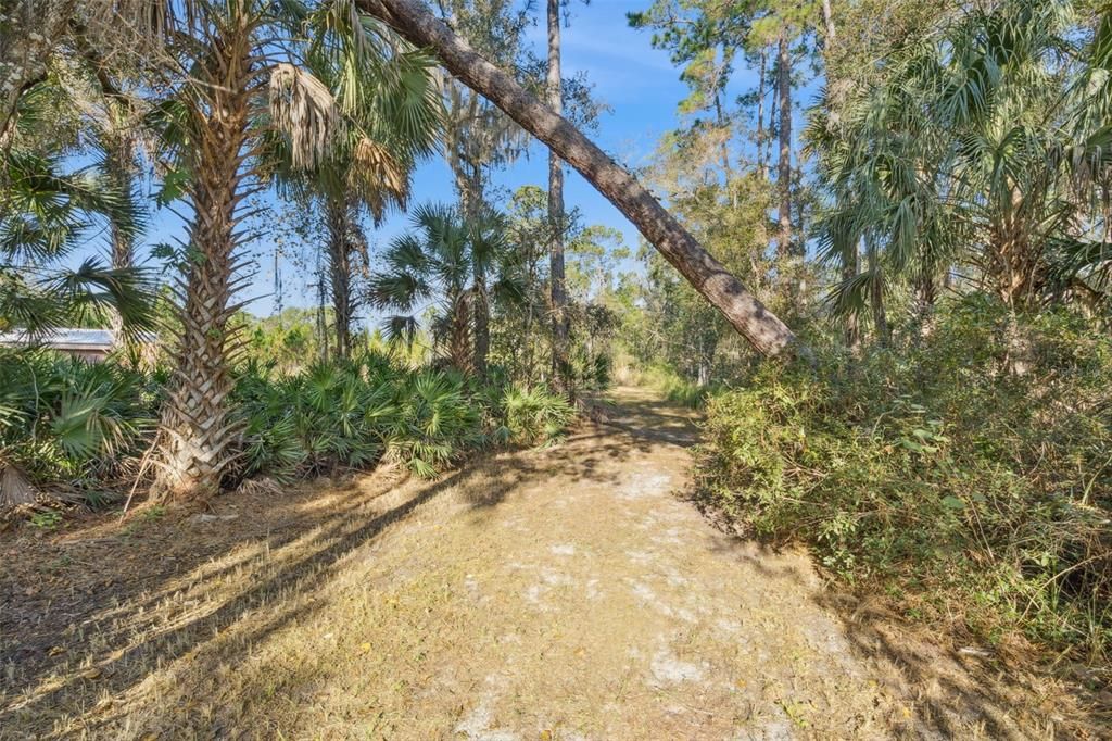 For Sale: $215,000 (5.07 acres)