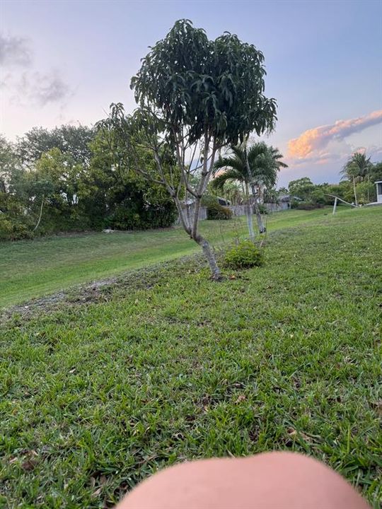 For Sale: $484,999 (3 beds, 2 baths, 1620 Square Feet)