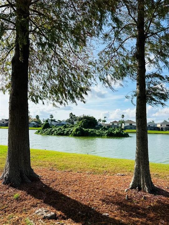 На продажу: $525,000 (5 спален, 3 ванн, 2317 Квадратных фут)