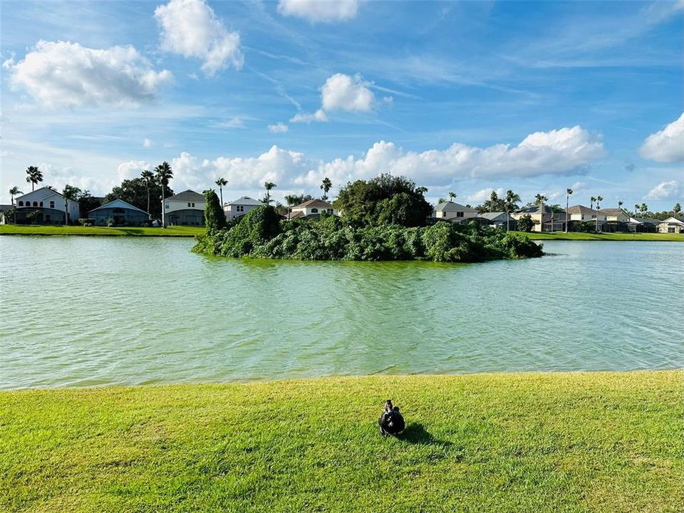 На продажу: $525,000 (5 спален, 3 ванн, 2317 Квадратных фут)