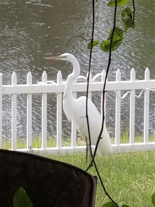 В аренду: $2,400 (4 спален, 2 ванн, 2043 Квадратных фут)