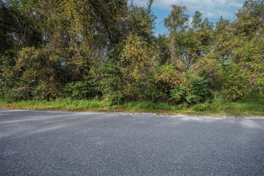 En Venta: $115,000 (0.42 acres)