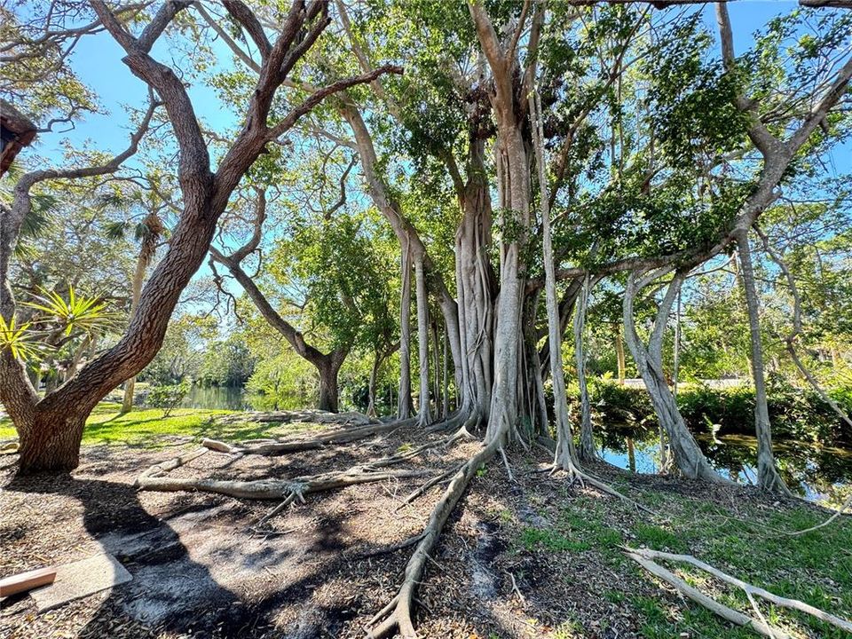 En Renta: $5,000 (3 camas, 2 baños, 1813 Pies cuadrados)