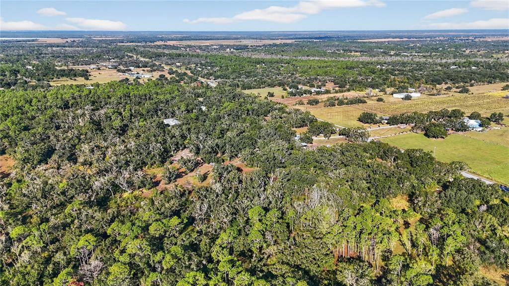 For Sale: $179,000 (6.06 acres)