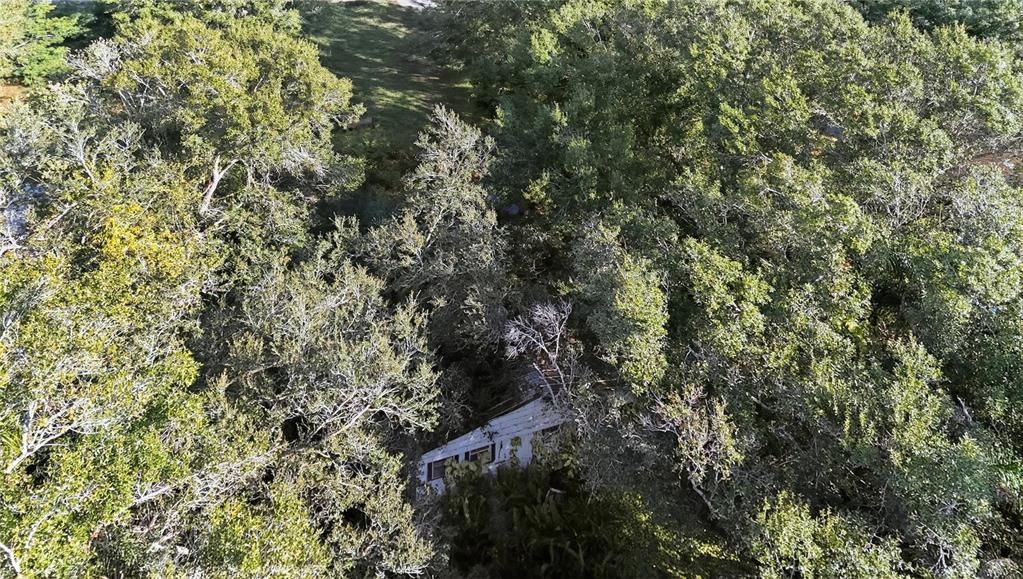 For Sale: $179,000 (6.06 acres)