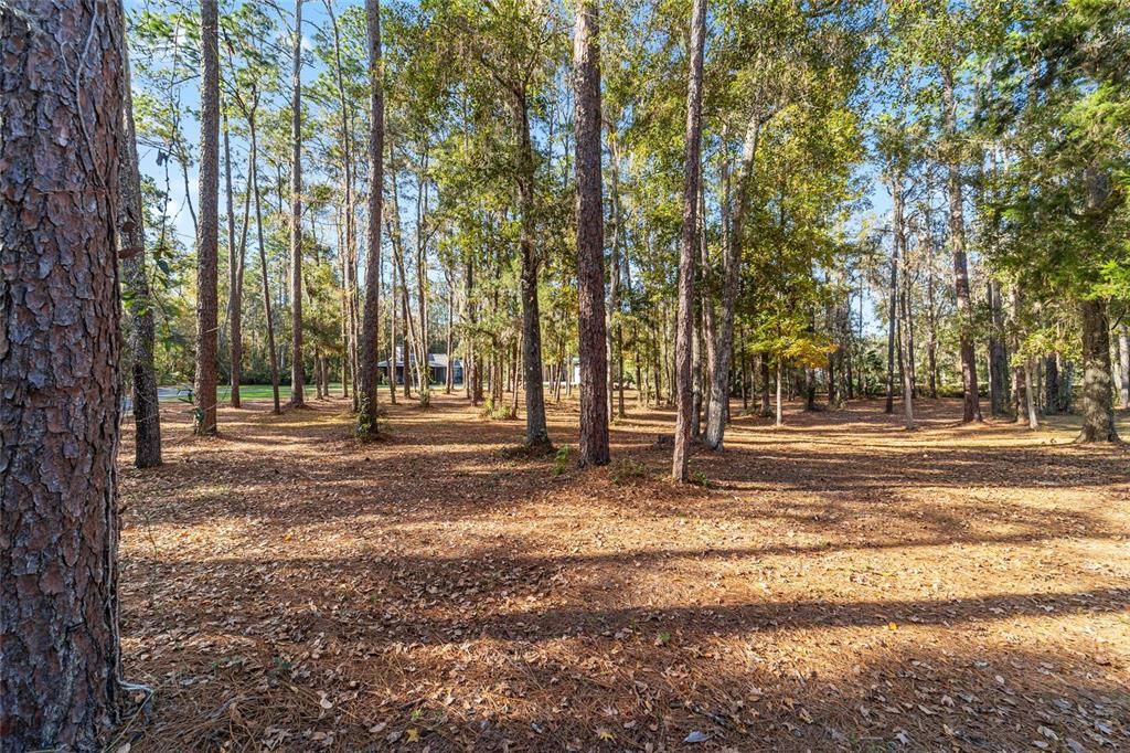 En Venta: $825,000 (3 camas, 2 baños, 1924 Pies cuadrados)