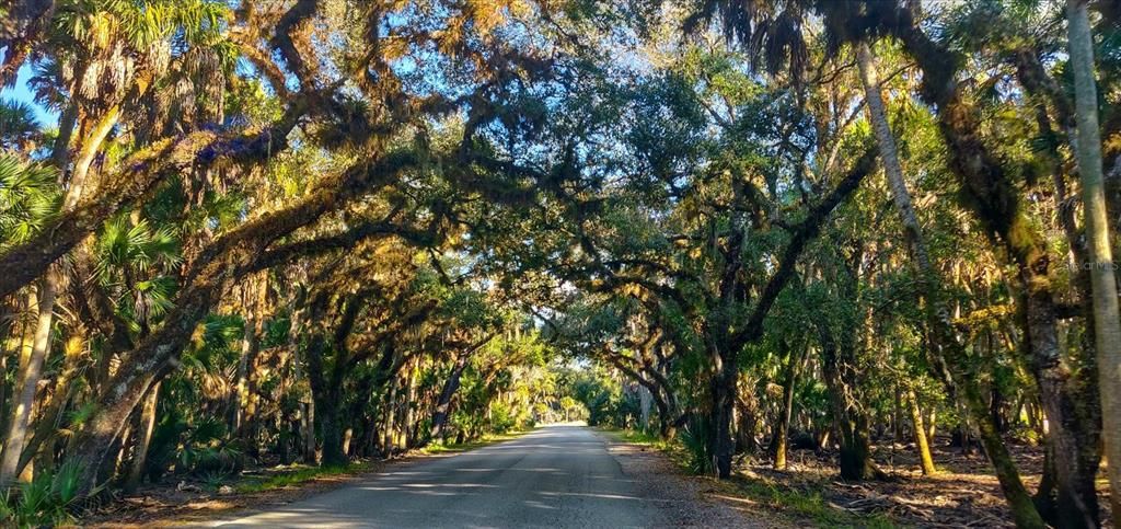 For Sale: $1,279,000 (4 beds, 3 baths, 4521 Square Feet)