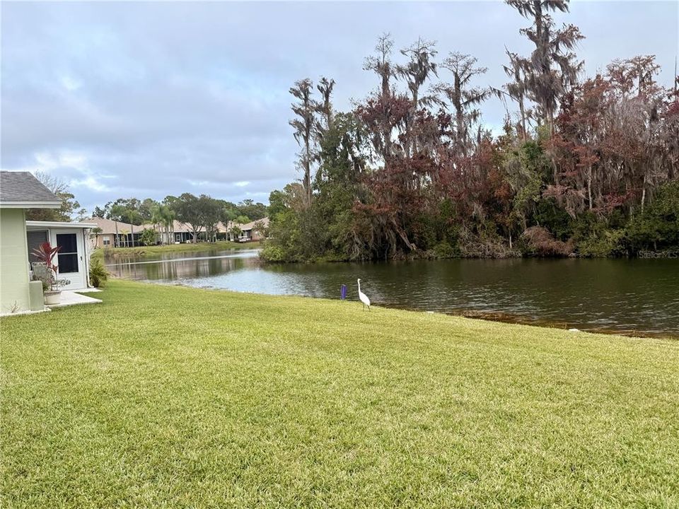 For Sale: $95,000 (1 beds, 1 baths, 779 Square Feet)