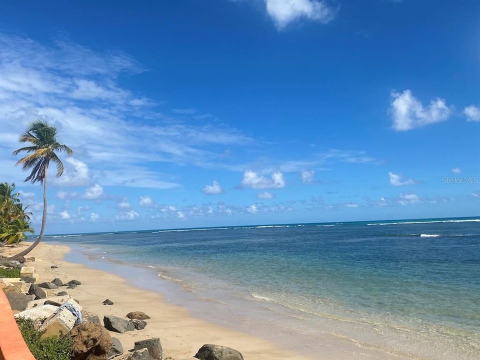 For Rent: $1,850 (1 beds, 1 baths, 681 Square Feet)