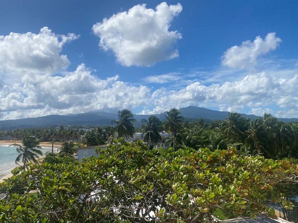 For Rent: $1,850 (1 beds, 1 baths, 681 Square Feet)